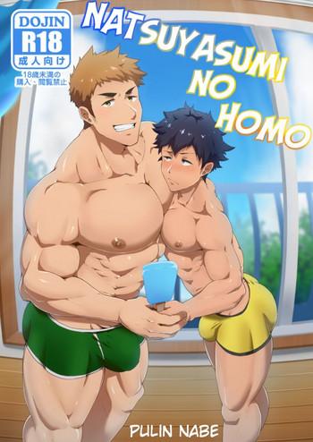 natsuyasumi no homo cover