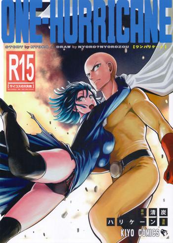 one hurricane 3 5 cover