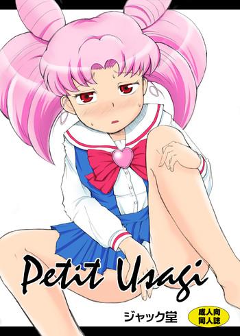 petit usagi cover