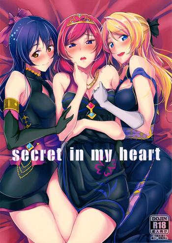 secret in my heart cover