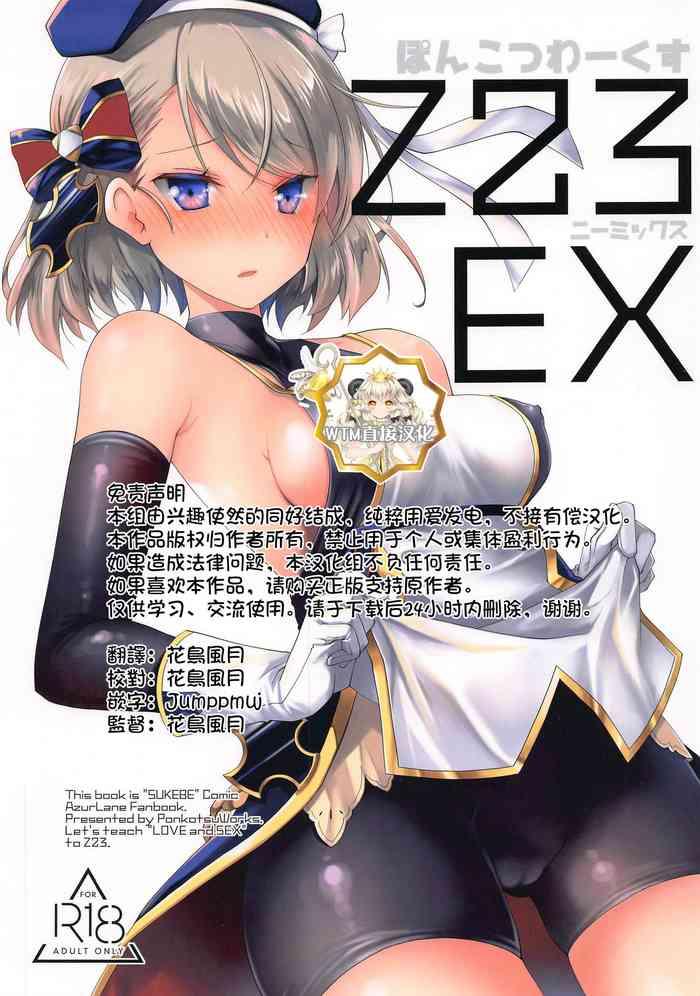 z23ex cover