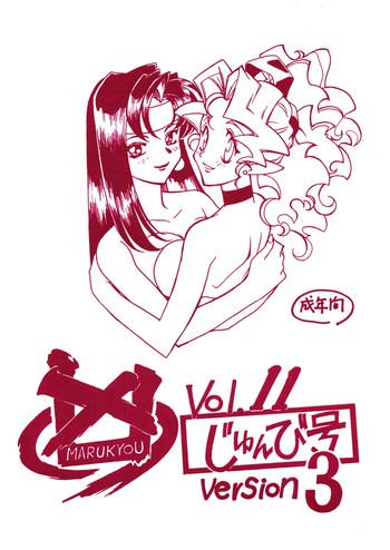 kyouakuteki shidou vol 11 junbigou version 3 cover