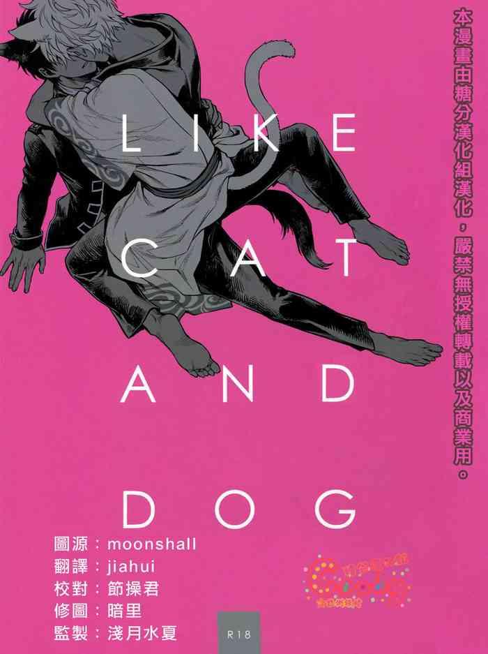 like cat and dog cover 1