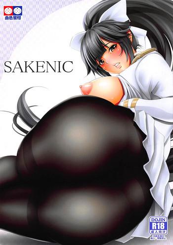 sakenic cover 1