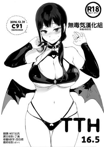 tth 16 5 cover