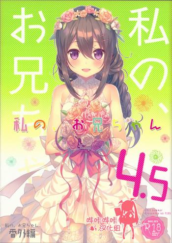 watashi no onii chan 4 5 bangaihen cover