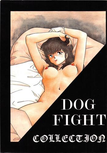 dog fight collection cover