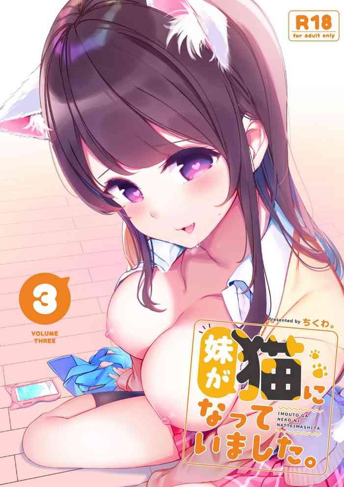 imouto ga neko ni natteimashita 3 cover