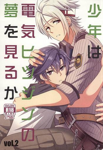 shounen wa denki hitsujin no yume o miru ka vol 2 cover