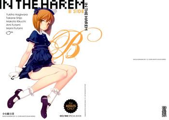 in the harem b side cover