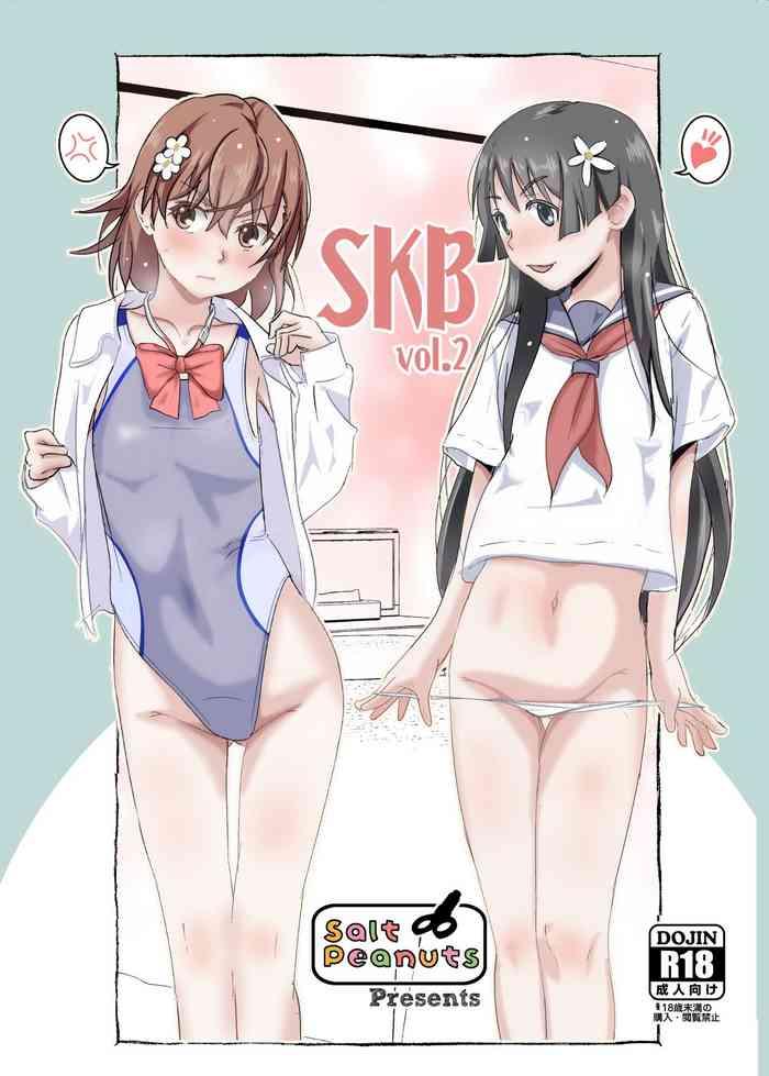 skb vol 2 cover