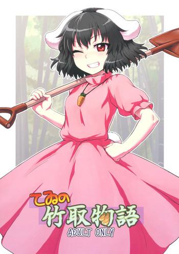 tewi no taketori monogatari cover