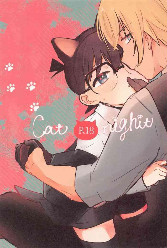 cat night cover