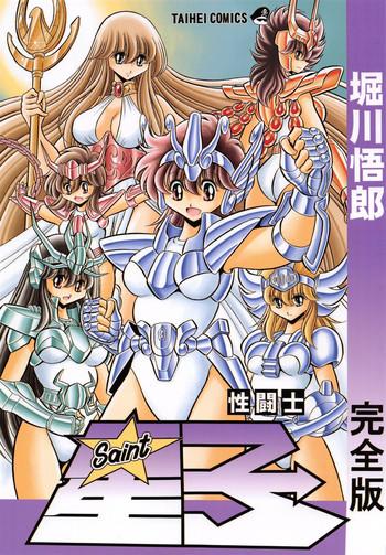 saint seiko kanzenban cover